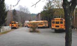 busses